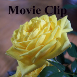 Movie_Clip_W03